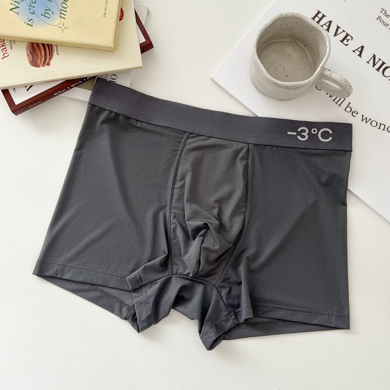 allrj Underwear Graphite Gray / 2XL Nunu Silk Seamless Men's Underwear