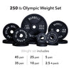 Barbell Standard Plates 250 lb set Olympic Weight Sets